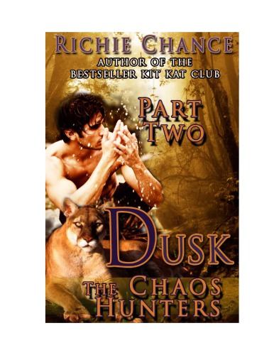 Richie Chance: The Chaos Hunters