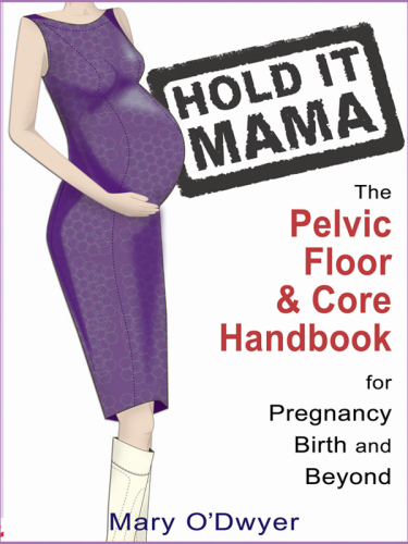 Hold It Mama: the Pelvic Floor and Core Handbook for Pregnancy, Birth and Beyond