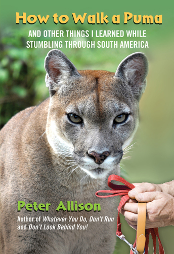 How to walk a puma: and other things I learned while stumbling through South America