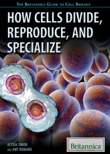 How Cells Divide, Reproduce, and Specialize