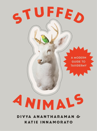 Stuffed animals: a modern guide to taxidermy