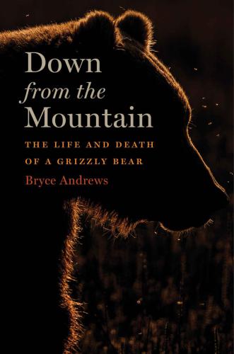 Down from the mountain the life and death of a grizzly bear