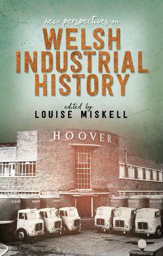 New Perspectives on Welsh Industrial History