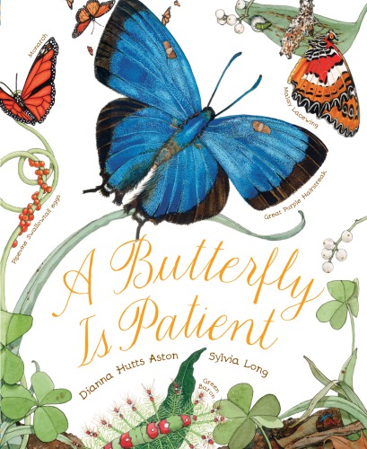 A butterfly is patient