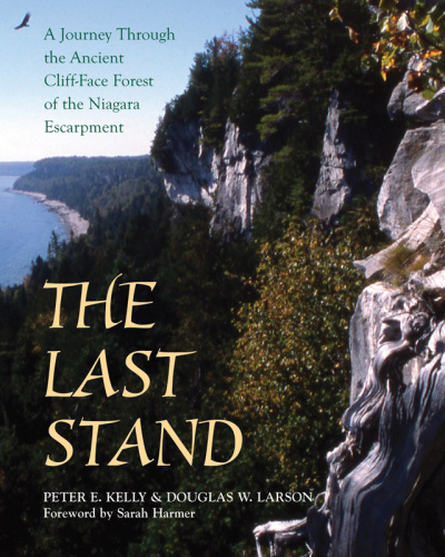 The last stand: a journey through the ancient cliff-face forest of the Niagara Escarpment