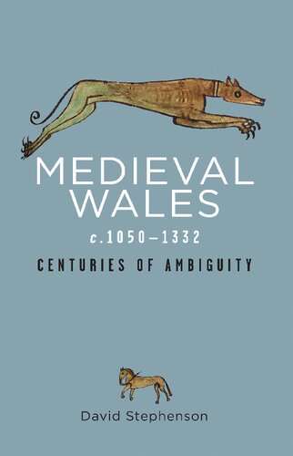 Medieval Wales c.1050–1332: Centuries of Ambiguity