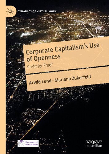 Corporate Capitalism's Use of Openness: Profit for Free?