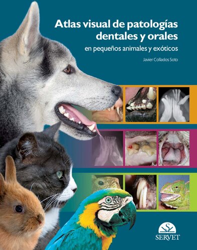 Atlas visual de patologías dentales y orales  en pequeños animales y exóticos