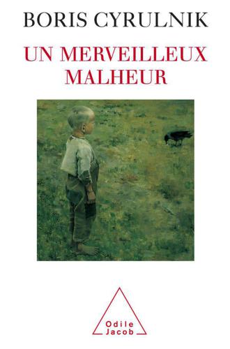 Un merveilleux malheur