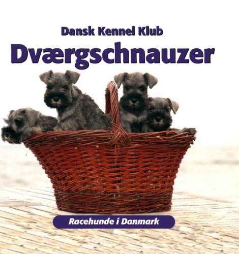 Dværgschnauzer