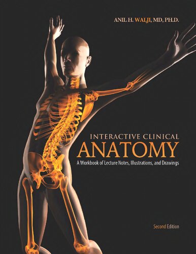 Interactive Clinical Anatomy: A Workbook of Lecture Notes Illustrations and Drawings