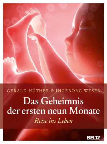 Das Geheimnis der ersten neun Monate Reise ins Leben