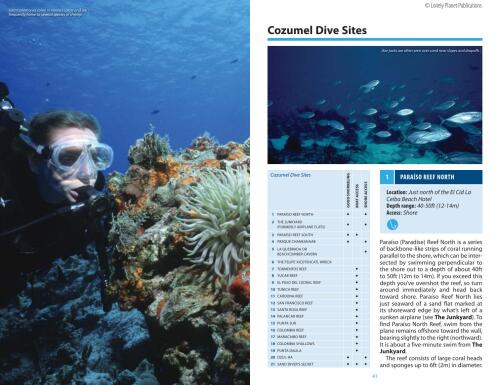 Lonely Planet Diving & Snorkeling Cozumel