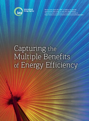 Capturing the Multiple Benefits - OECD _ OCDE