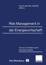 Risk Management in der Energiewirtschaft: Chancen und Risiken durch liberalisierte Märkte