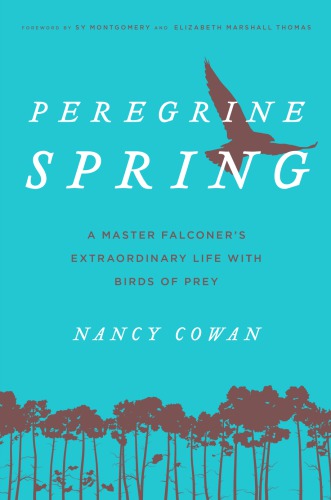 Peregrine spring