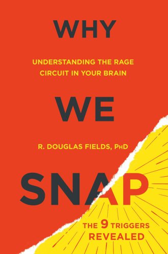 Why we snap: understanding the rage circuit in your brain