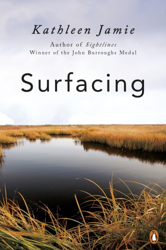 Surfacing