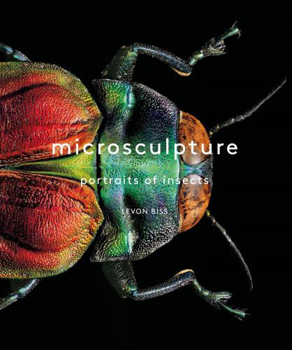 Microsculpture: Portraits of Insects