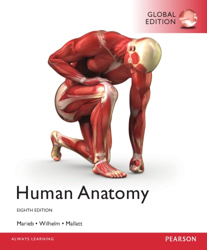 Human anatomy