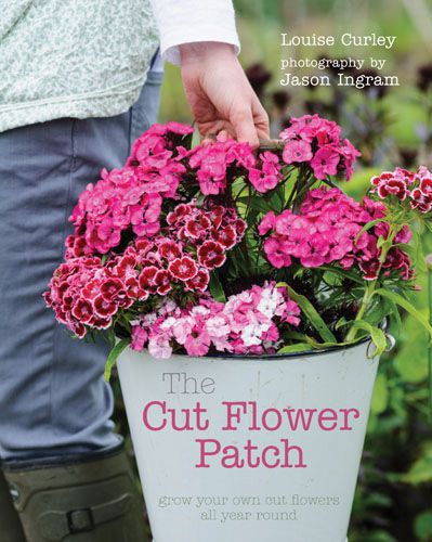 The cut flower patch: grow your own cut flowers all year round