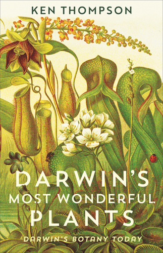 Darwin's most wonderful plants: Darwin's botany today