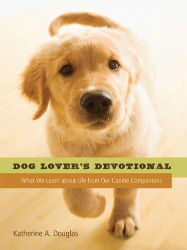 Dog Lover's Devotional: What We Learn about Life from Our Canine Companions