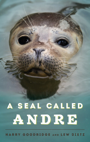 A seal called Andre: the two worlds of a Maine harbor seal