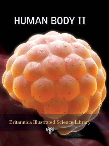 Human body II