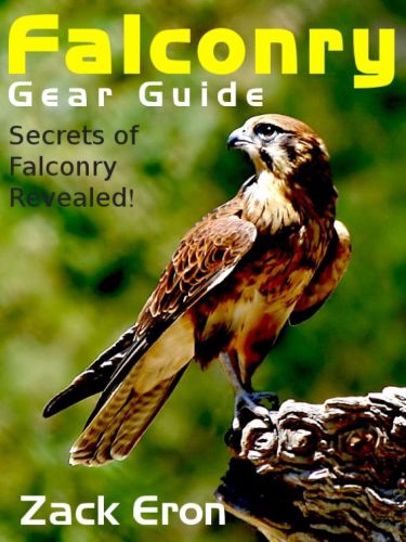 Falconry gear guide secrets of falconry revealed