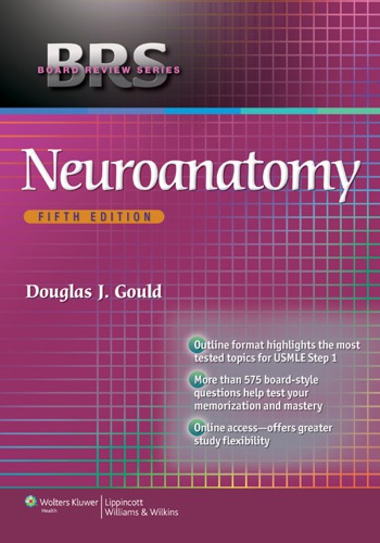 Neuroanatomy