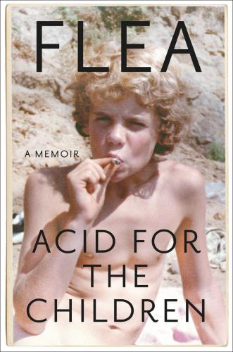 Acid for the children a memoir