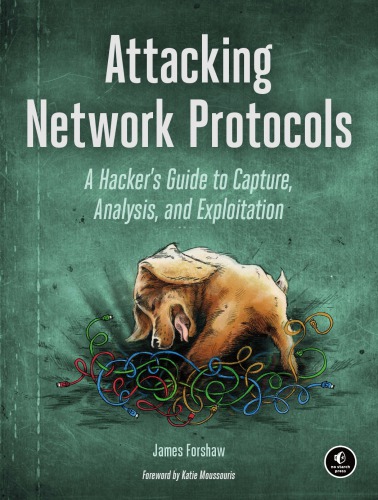 Attacking network protocols