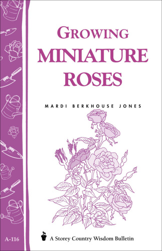 Growing Miniature Roses