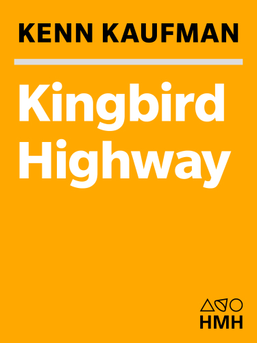 Kingbird highway: the biggest year in the life of an extreme birder