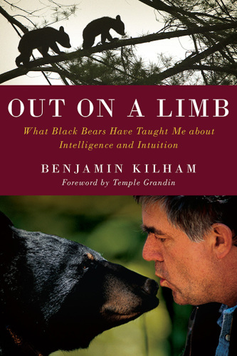 Out on a limb: what black bears taught me about intelligence and intuition