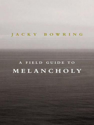 A a Field Guide to Melancholy