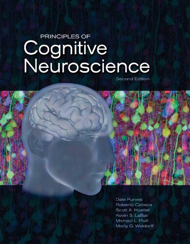 Principles of Cognitive Neuroscience