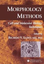 Morphology Methods: Cell and Molecular Biology Techniques