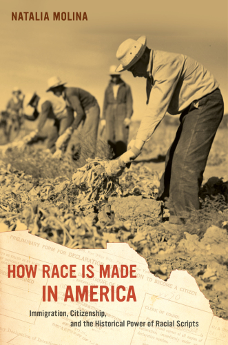 How race is made in America immigration, citizenship, and the historical power of racial scripts