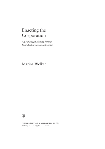 Enacting the corporation: an American mining firm in post-authoritarian Indonesia