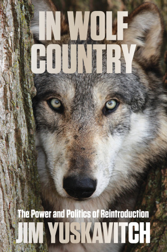 In wolf country: the power and politics of reintroduction