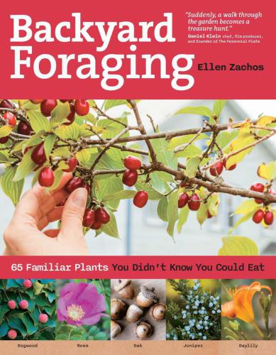 Backyard Foraging: 65 Familiar Plants You Didn't Know You Could Eat