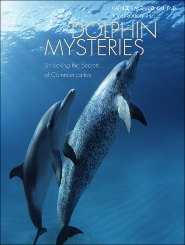 Dolphin mysteries unlocking the secrets of communication