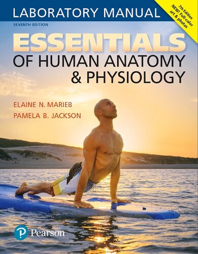 Essentials of Human Anatomy & Physiology Laboratory Manual 7th Edition