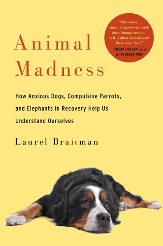 Animal madness: inside their minds