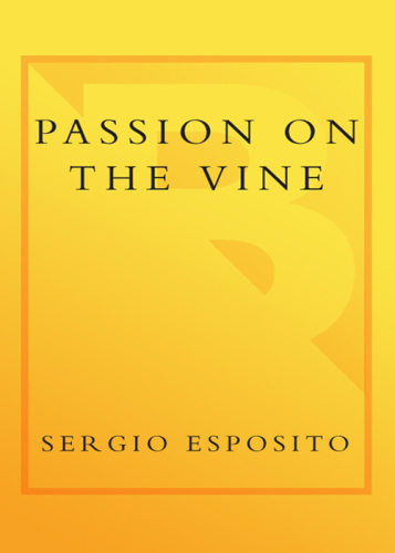 Passion on the vine: a memoir of food, wine and family in the heart of Italy