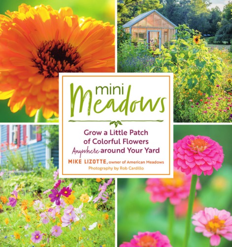 Mini meadows: grow a little patch of colorful flowers anywhere around your yard