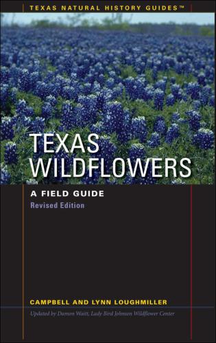 Texas Wildflowers