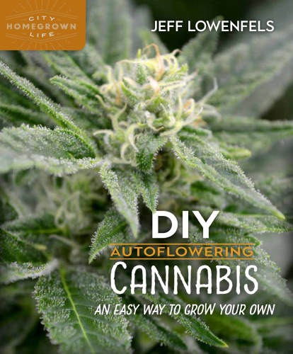 DIY auto-flowering cannabis: an easy way to grow your own